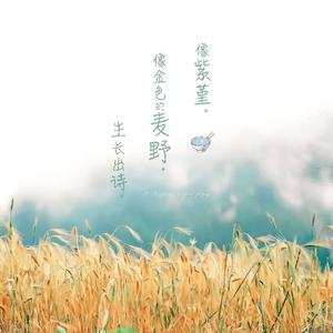 电锯人二创同人免费观看
