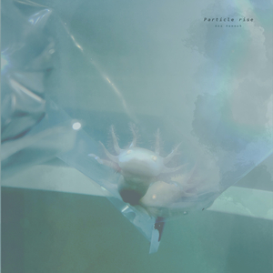 电锯人二创同人免费观看
