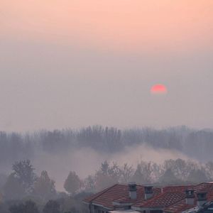 电锯人二创同人免费观看
